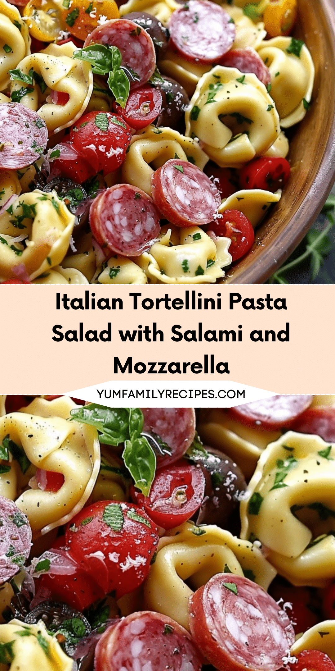 Italian Tortellini Pasta Salad with Salami and Mozzarella | Yum Family ...