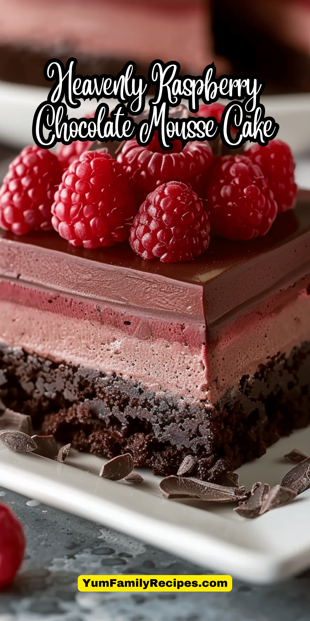 Heavenly Raspberry Chocolate Mousse Cake | Yum Family Recipes