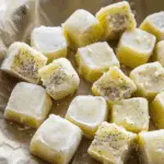 No-Bake Lemon Poppy Seed Fridge Bites