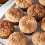 Snickerdoodle Muffins