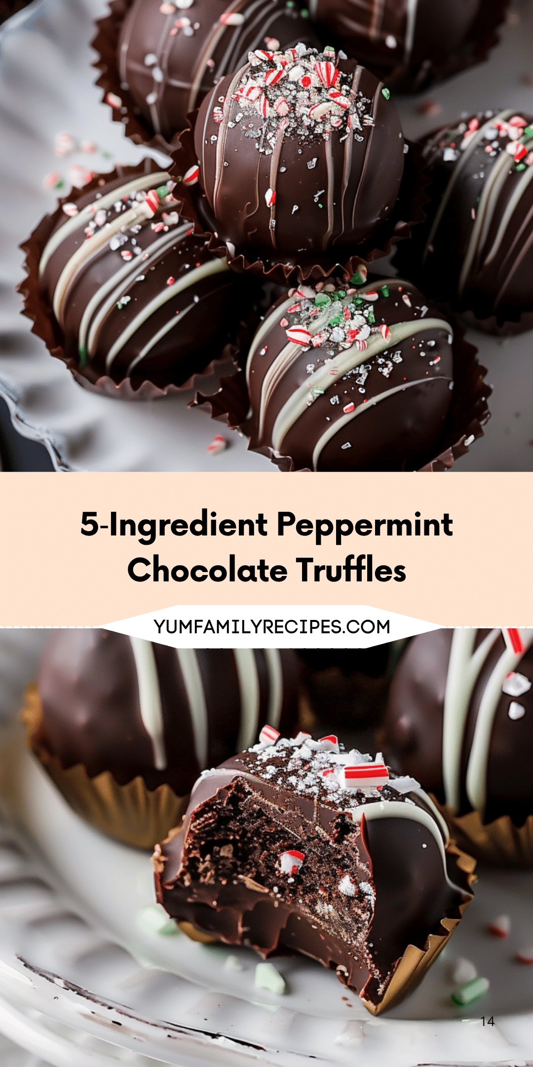 5 Ingredient Peppermint Chocolate Truffles5 Ingredient Peppermint Chocolate Truffles Photos That Really Amazing To Design Your Home Design Ideas