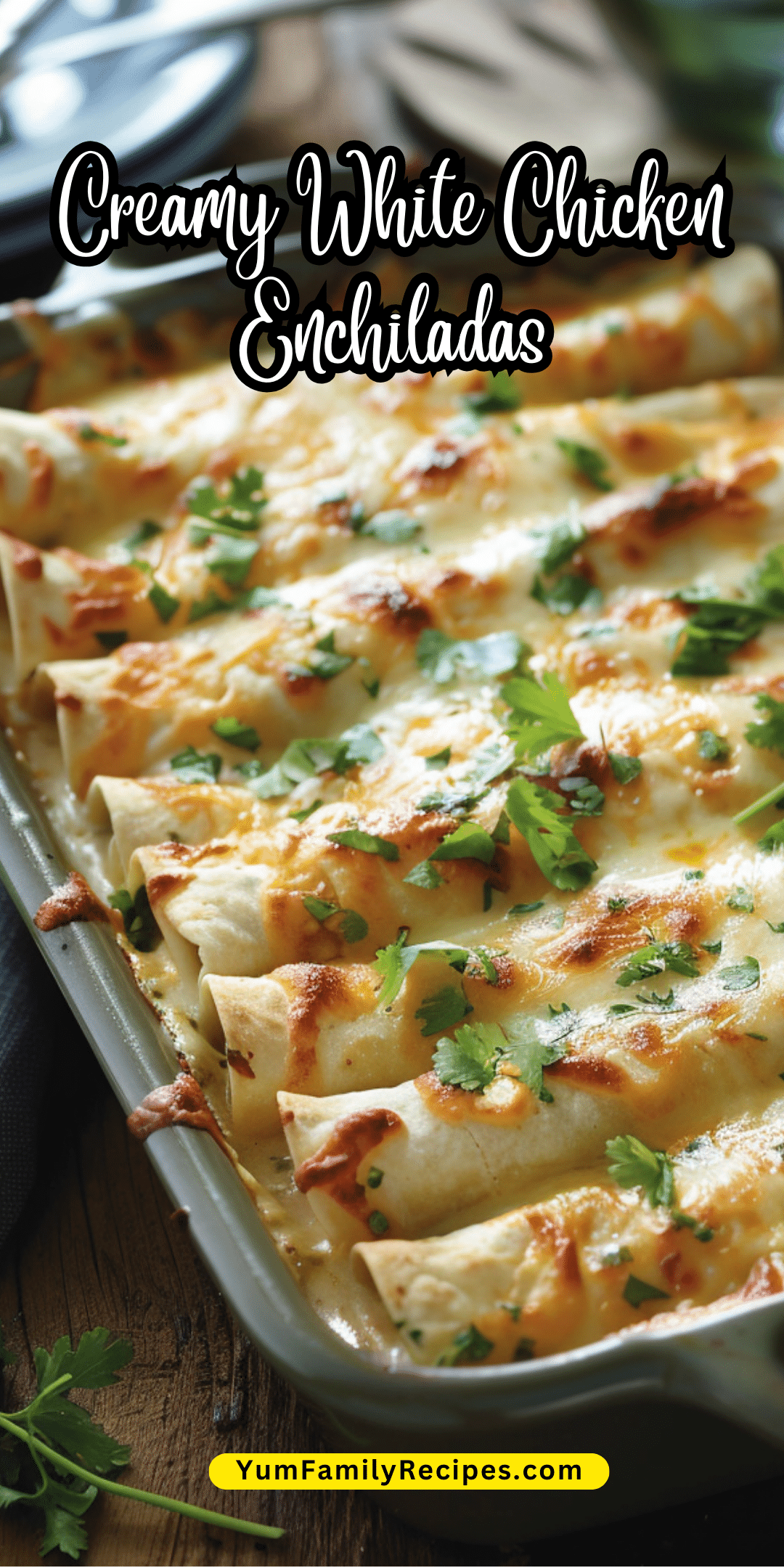 Creamy White Chicken Enchiladas Yum Family Recipes